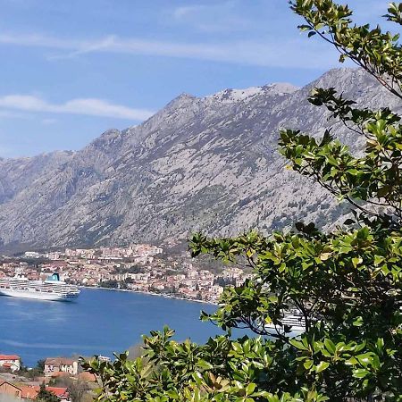 Casa Vecchia Villa Kotor Bagian luar foto