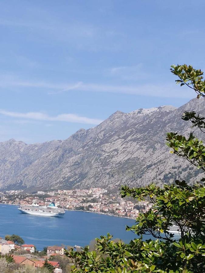 Casa Vecchia Villa Kotor Bagian luar foto