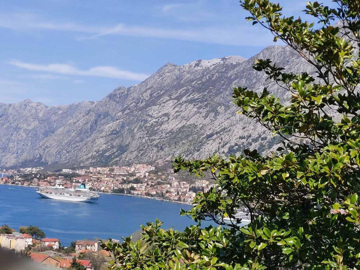 Casa Vecchia Villa Kotor Bagian luar foto